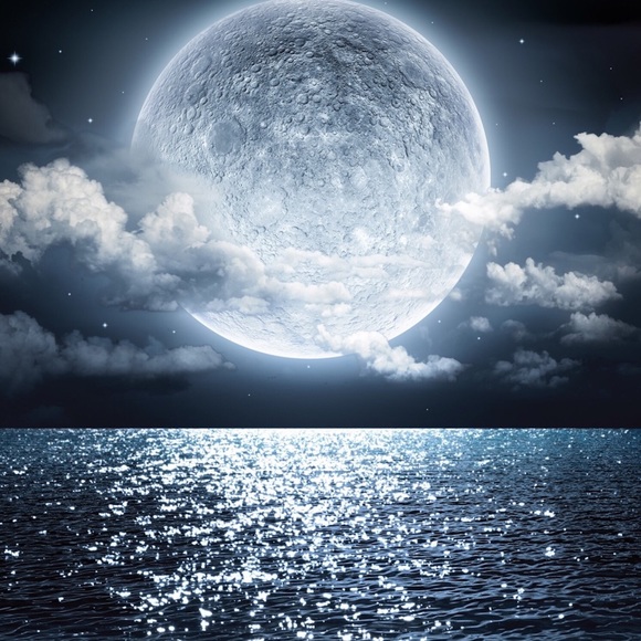 Meet your Posher, Taylor - Picture 1 of 1